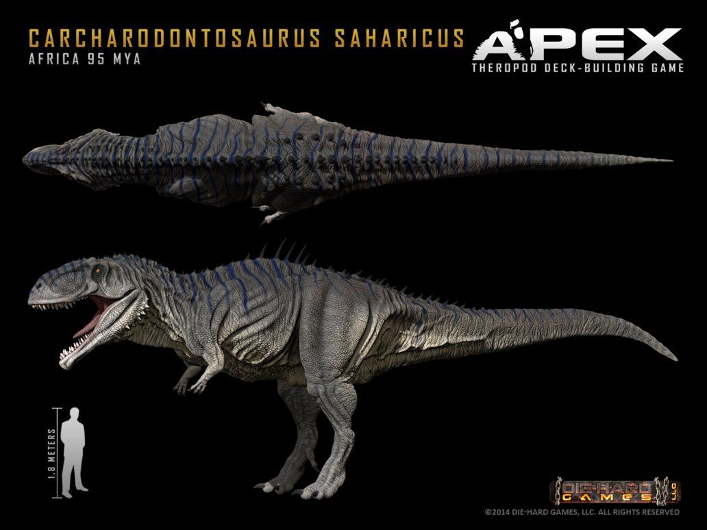 Carcharodontosaurus (Cretaceous) ideas. paleontology, prehistoric animals, prehistoric creatures