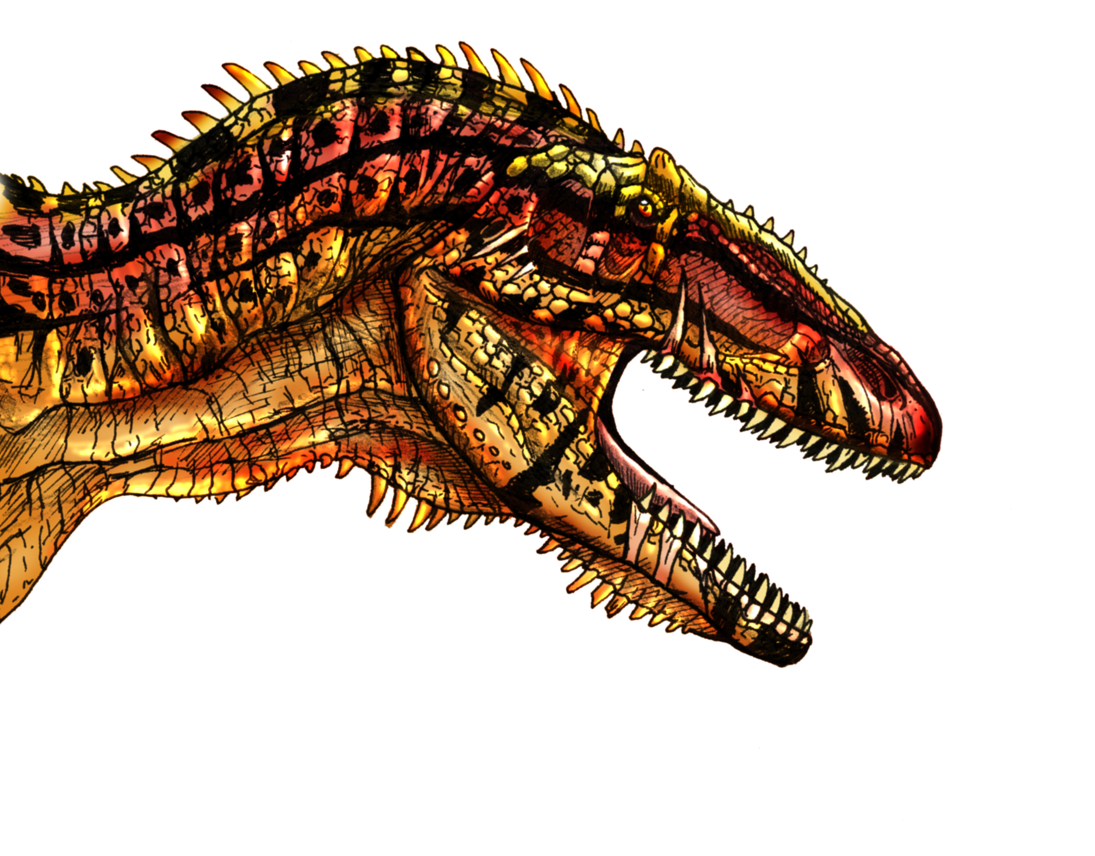 Desktop Wallpaper Dinosaurs Carcharodontosaurus Teeth 2142x1675