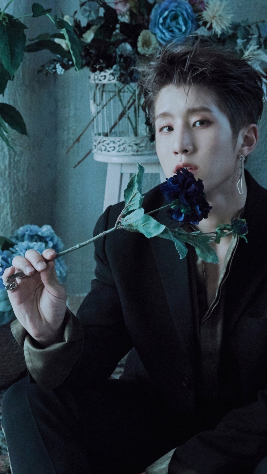 JinJin (Astro) Wallpaper