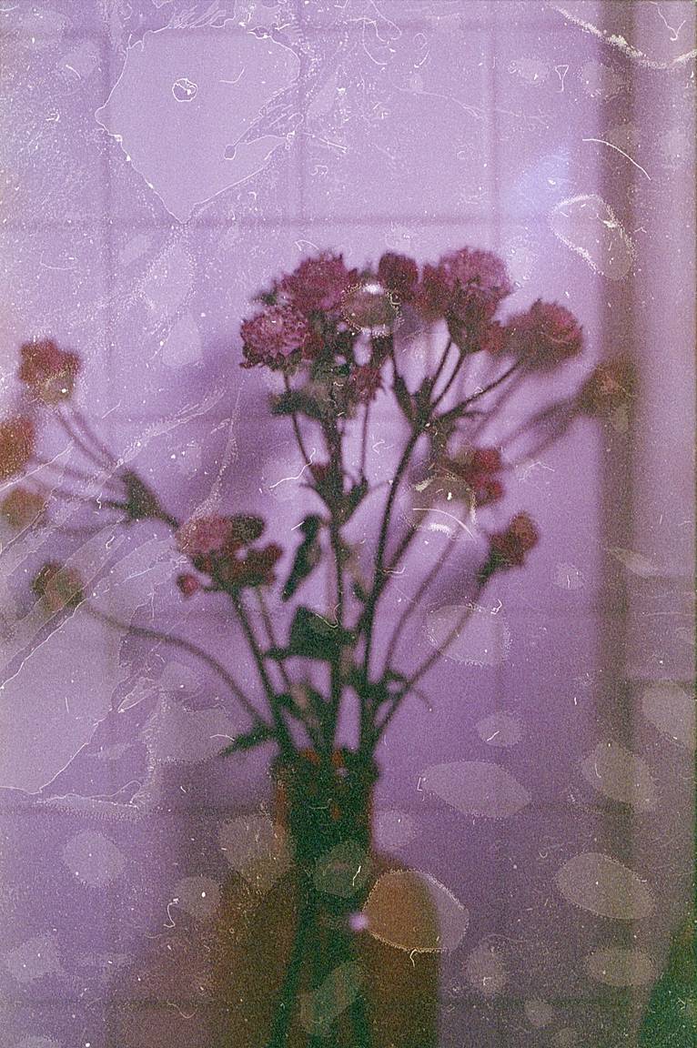 Experimental Film Photography · Lomography