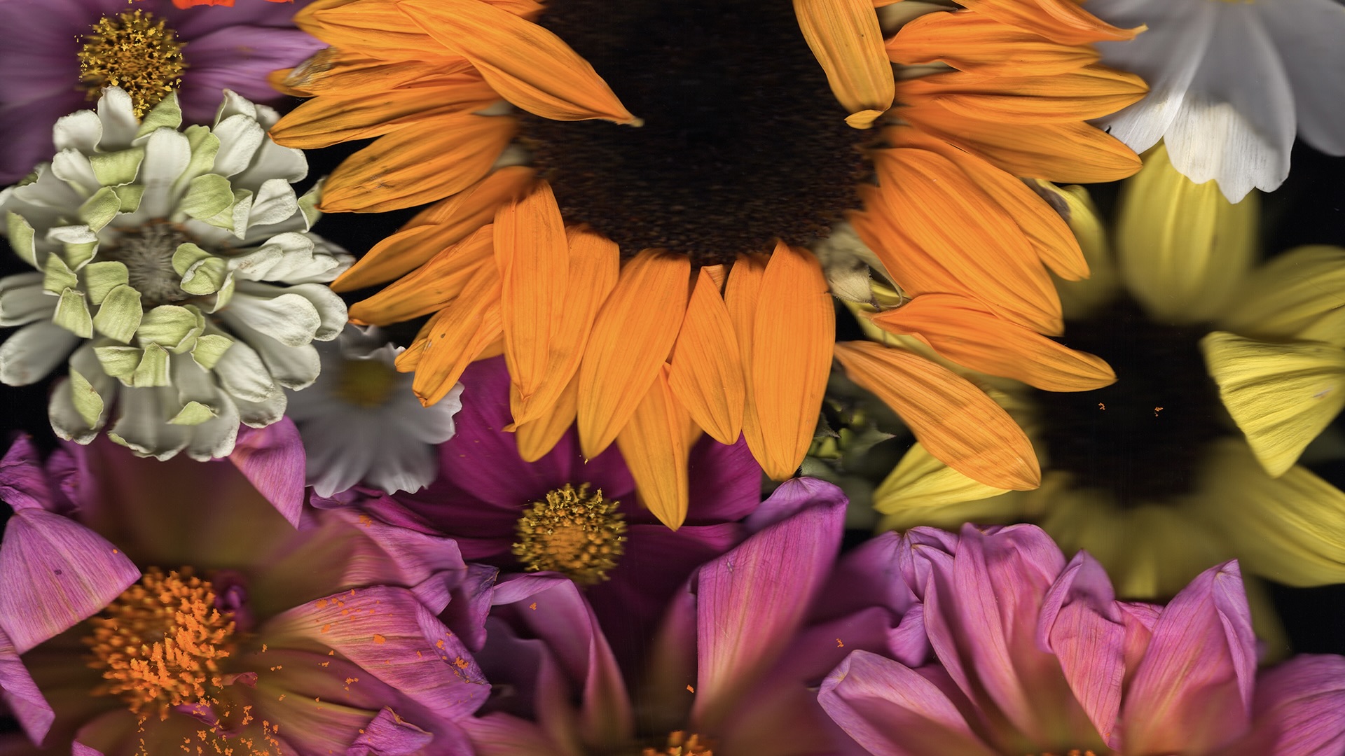 NFT Trends: How experimental photography is expanding into the NFT space