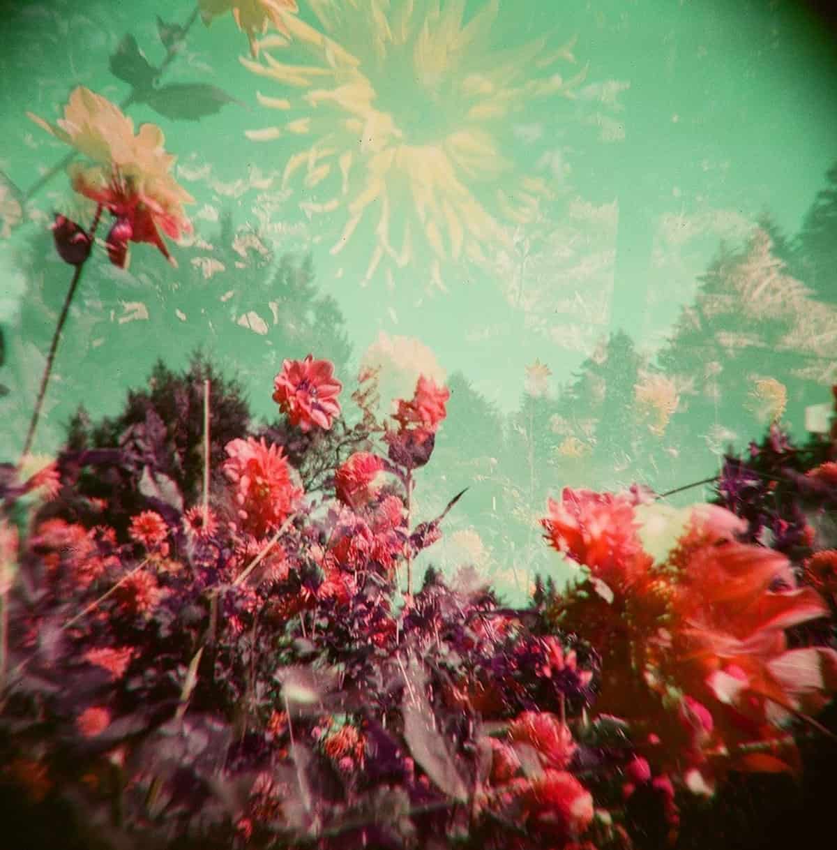 Amazing Experimental Film Photographers! Shoot It With Film