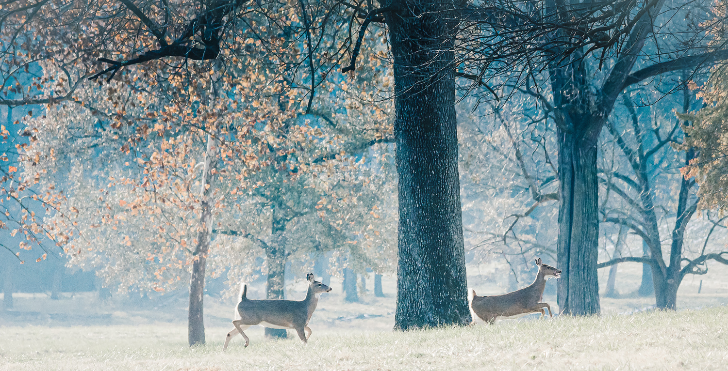 Is experimental color appropriate for nature photography? Photography on Fstoppers