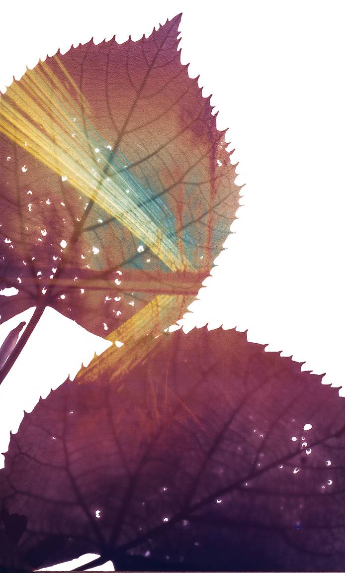 The Human Relationship to Mother Nature Through · Lomography