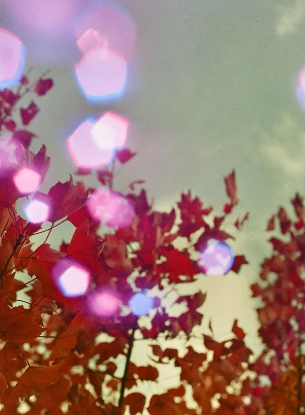 Amazing Experimental Film Photographers! Shoot It With Film