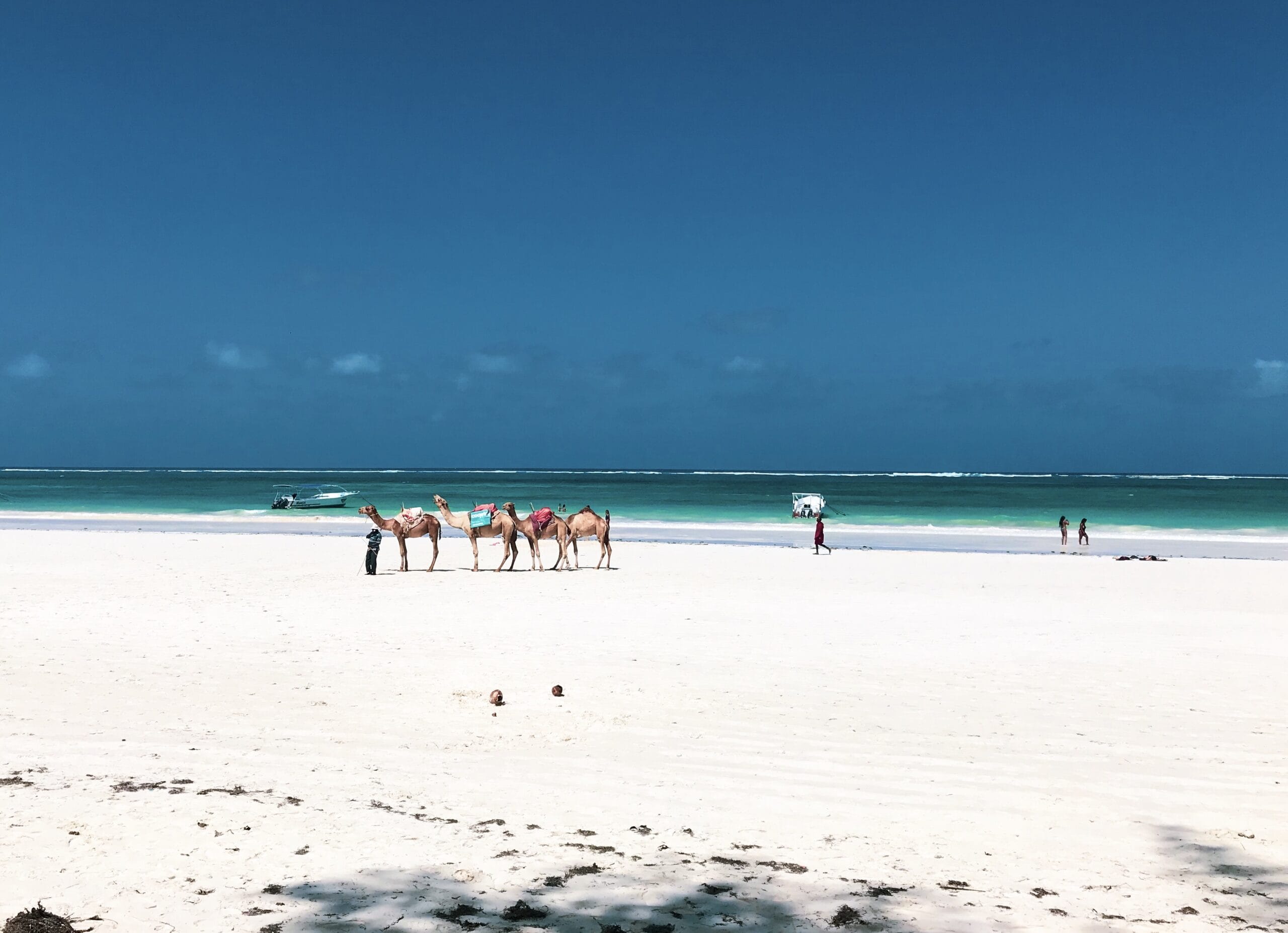 Best Things to do in Diani Beach