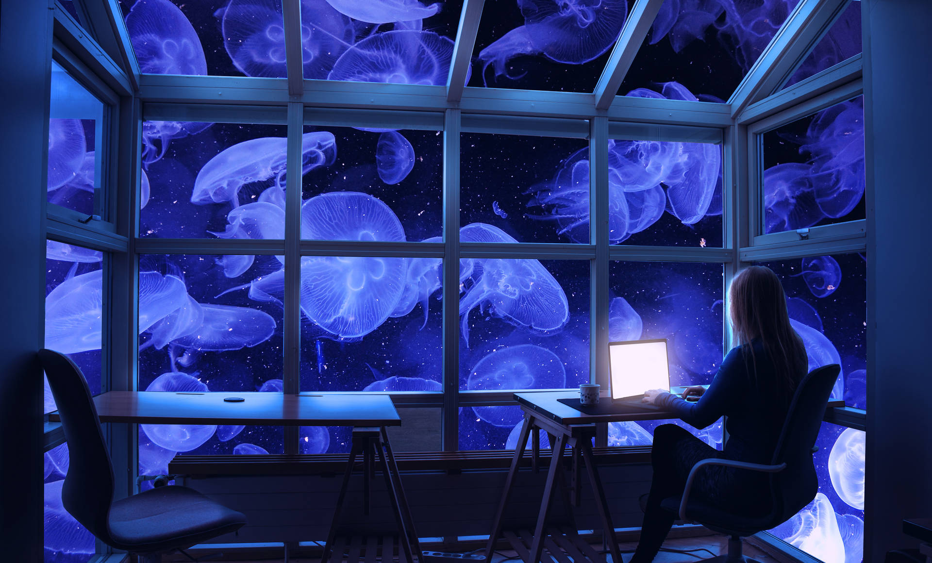 Download 4k Laptop Jellyfish Window Wallpaper