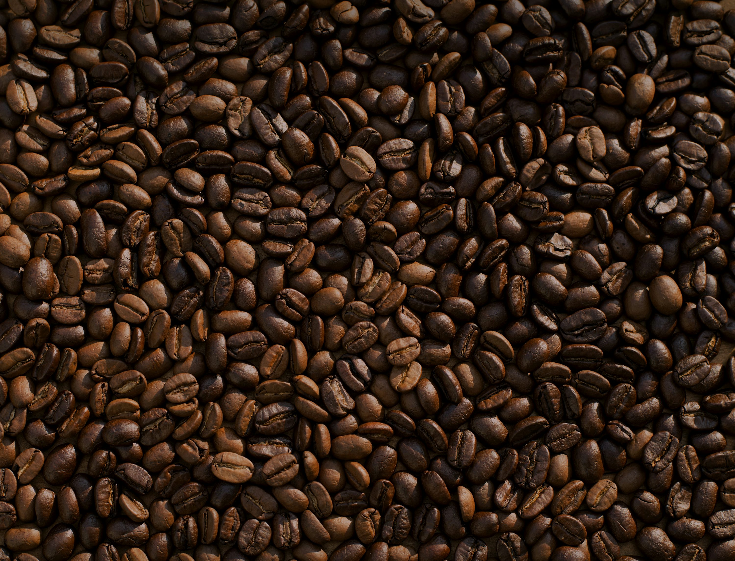 Coffee Bean Picture. Download Free Image