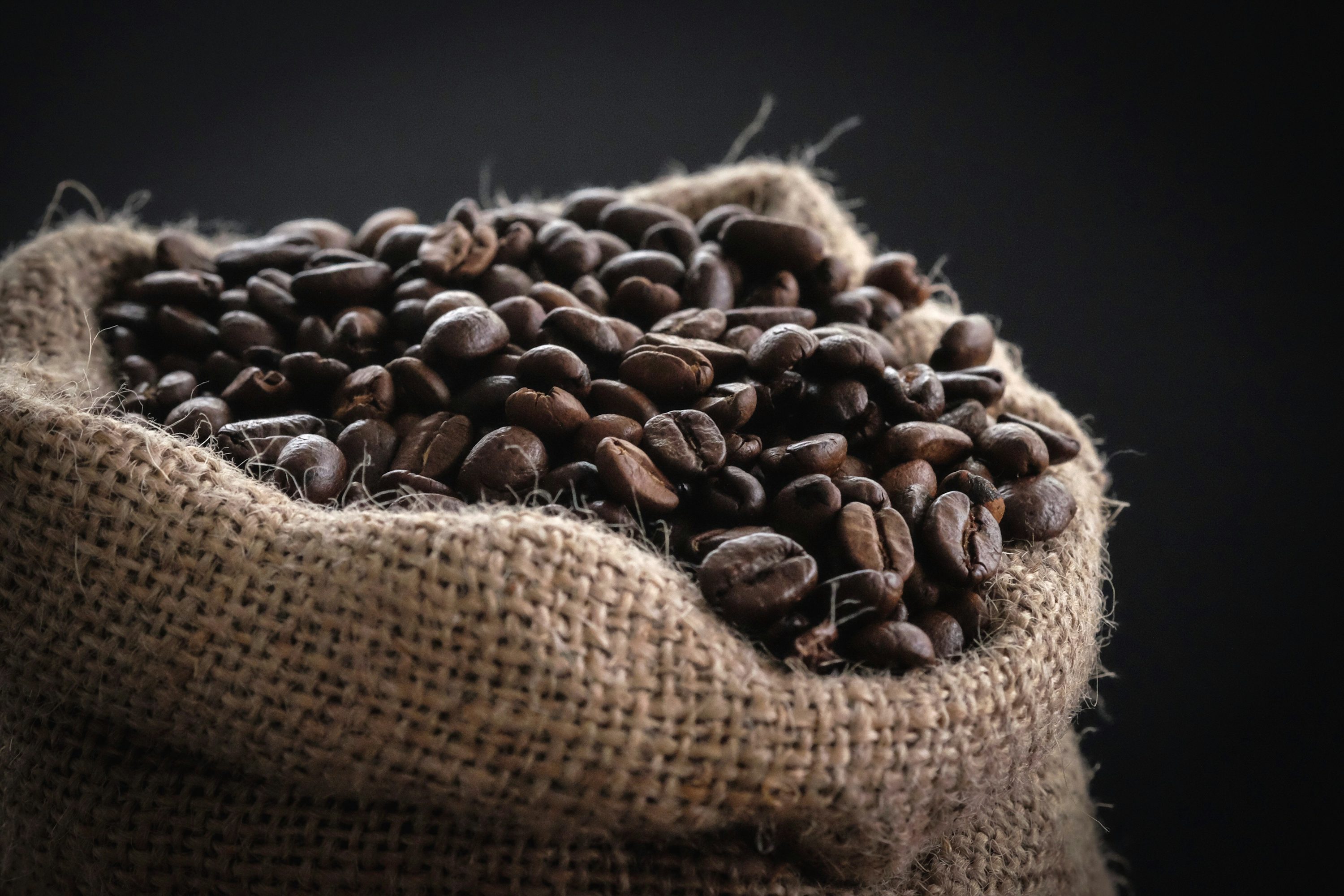Coffee Bean Picture. Download Free Image