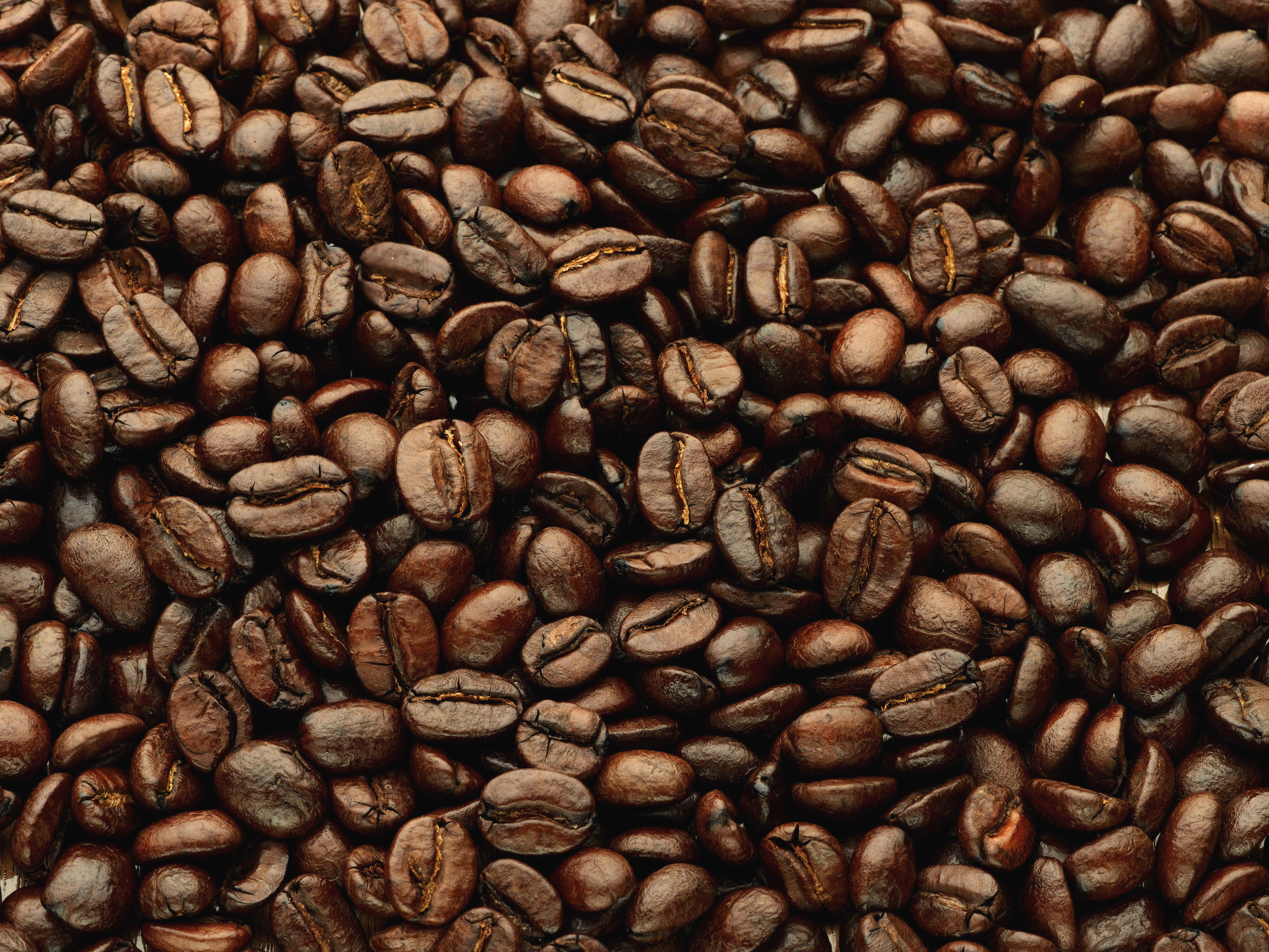 Dark Roast Coffee Beans Wall Mural