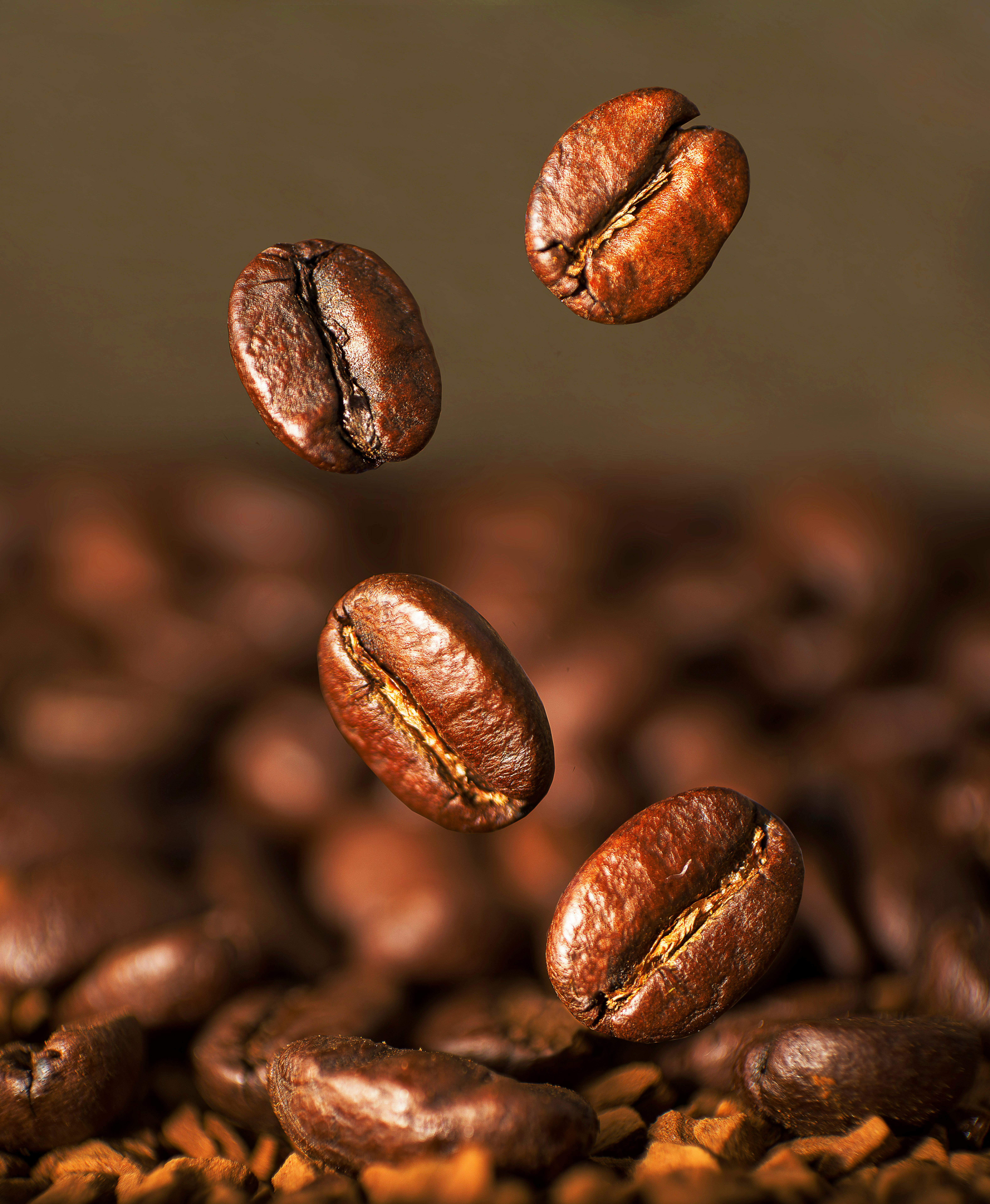 Brown Coffee Beans in Close Up Photography · Free