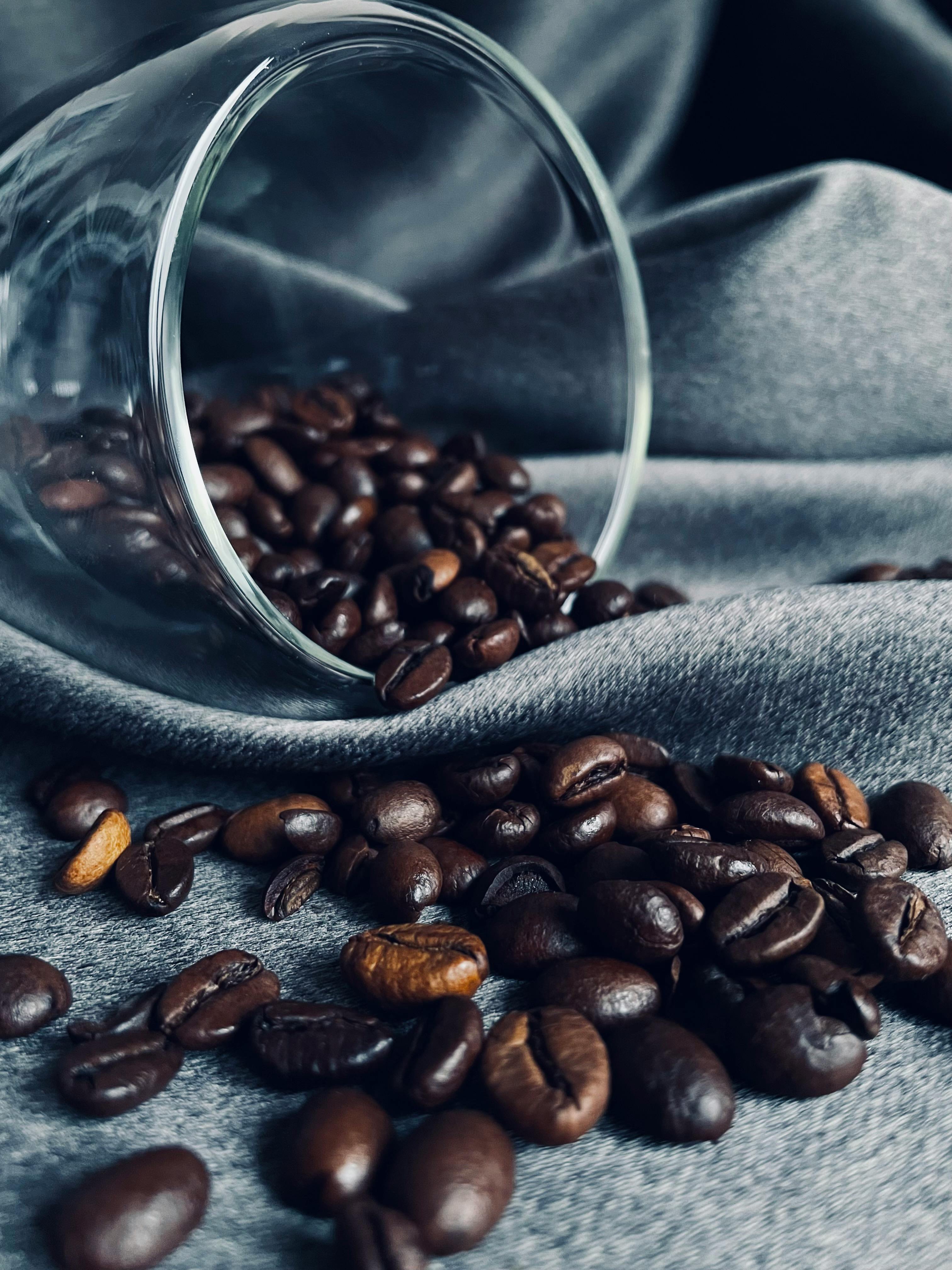 Brown Coffee Beans in Clear Glass · Free