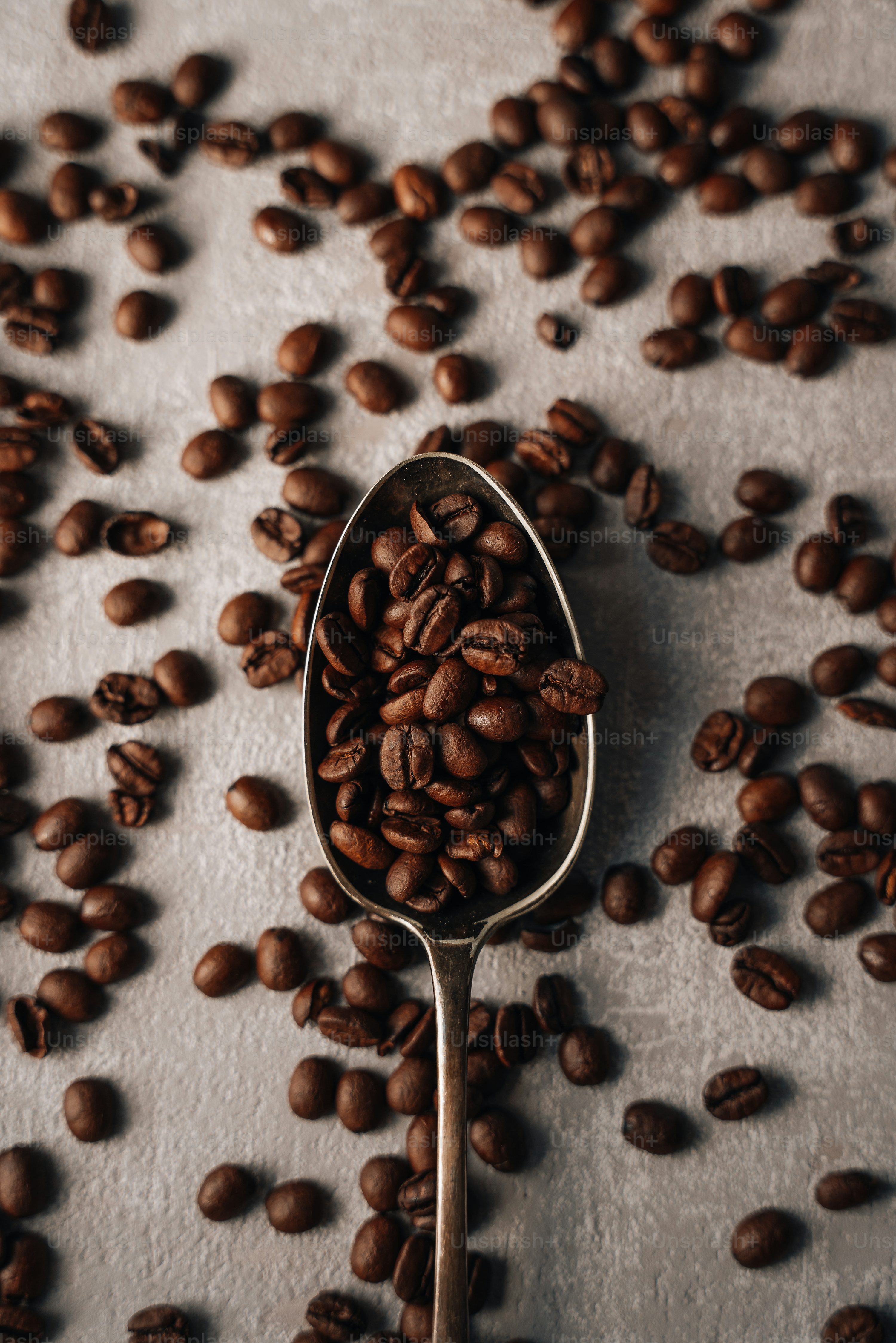 Coffee Bean Picture. Download Free Image