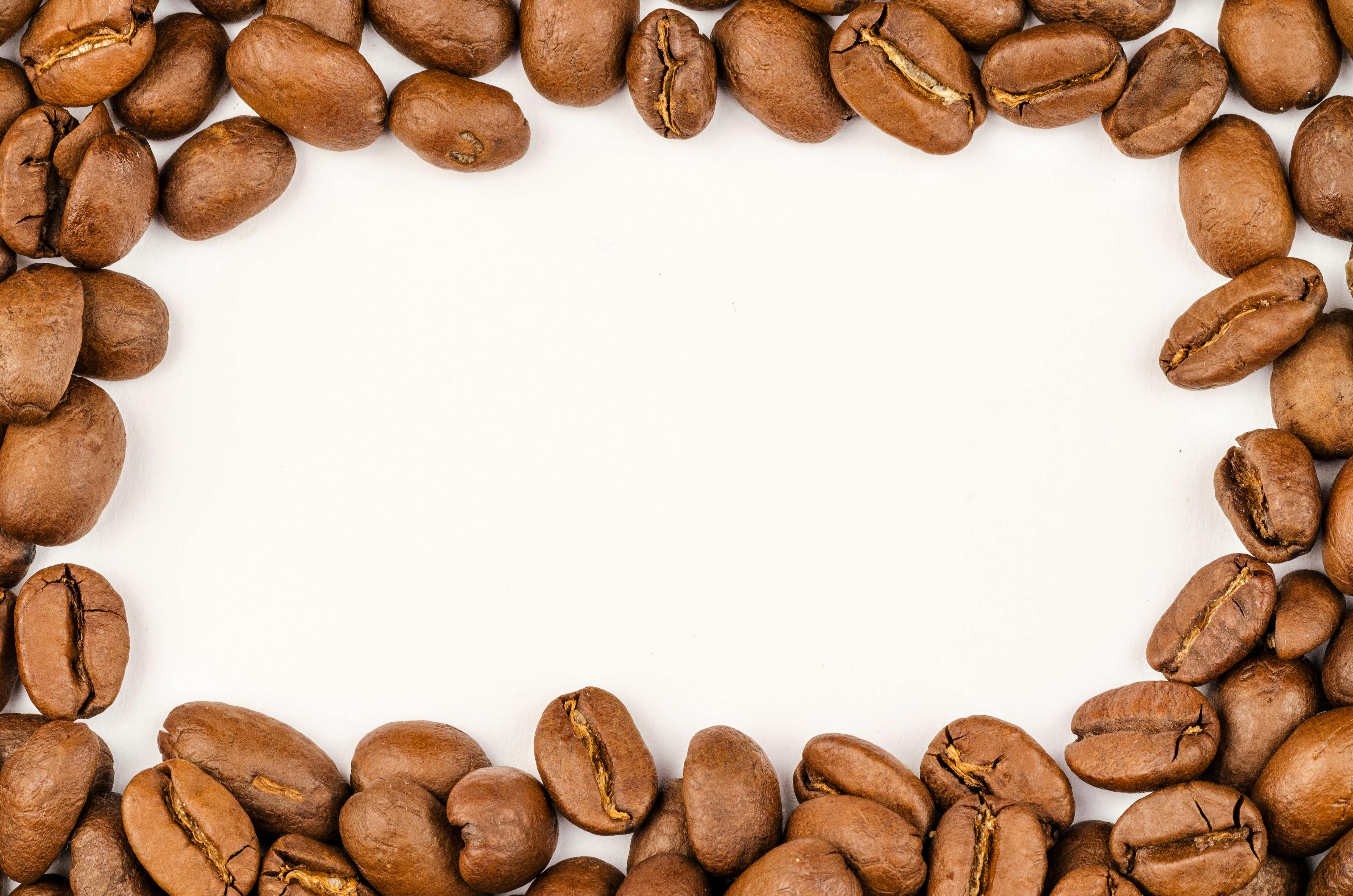 Coffee Beans · Free