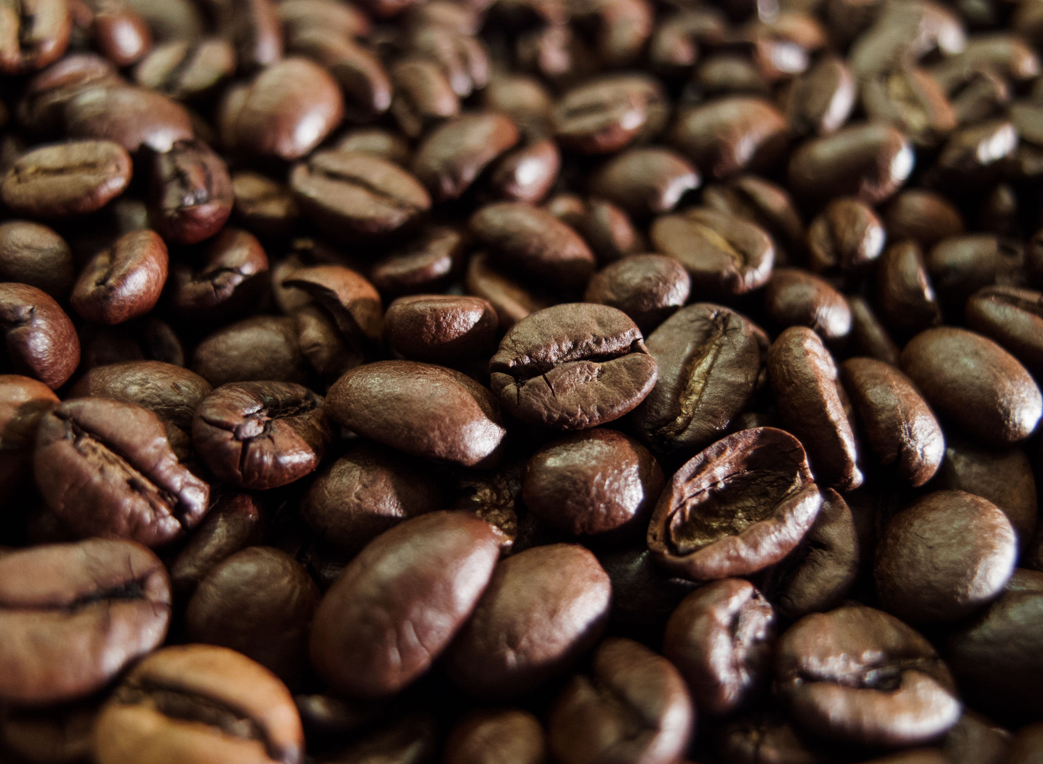 Coffee Beans. Copyright Free Photo (by M. Vorel)