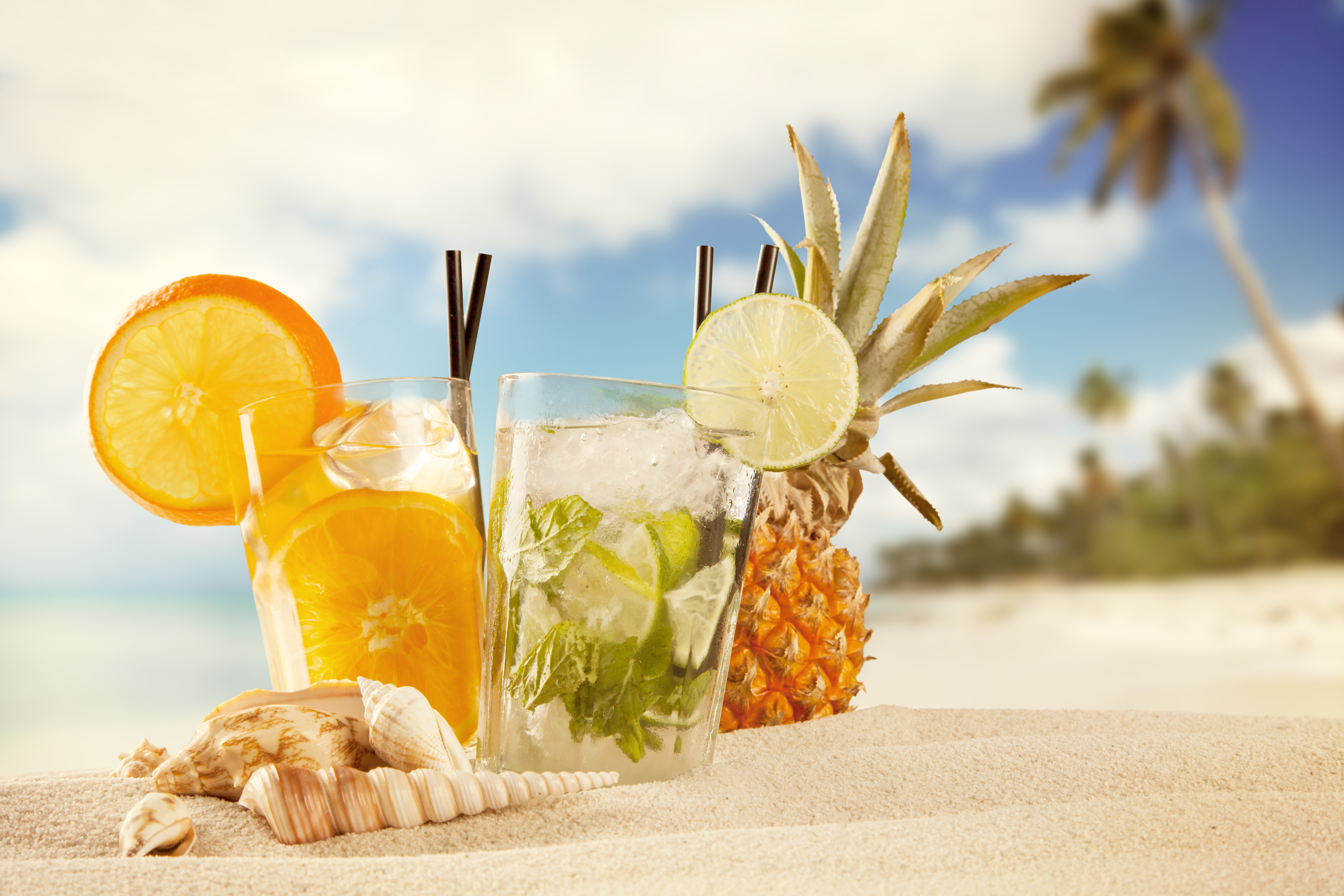 Wallpaper Beach Shells Pineapples Highball glass Food 5616x3744