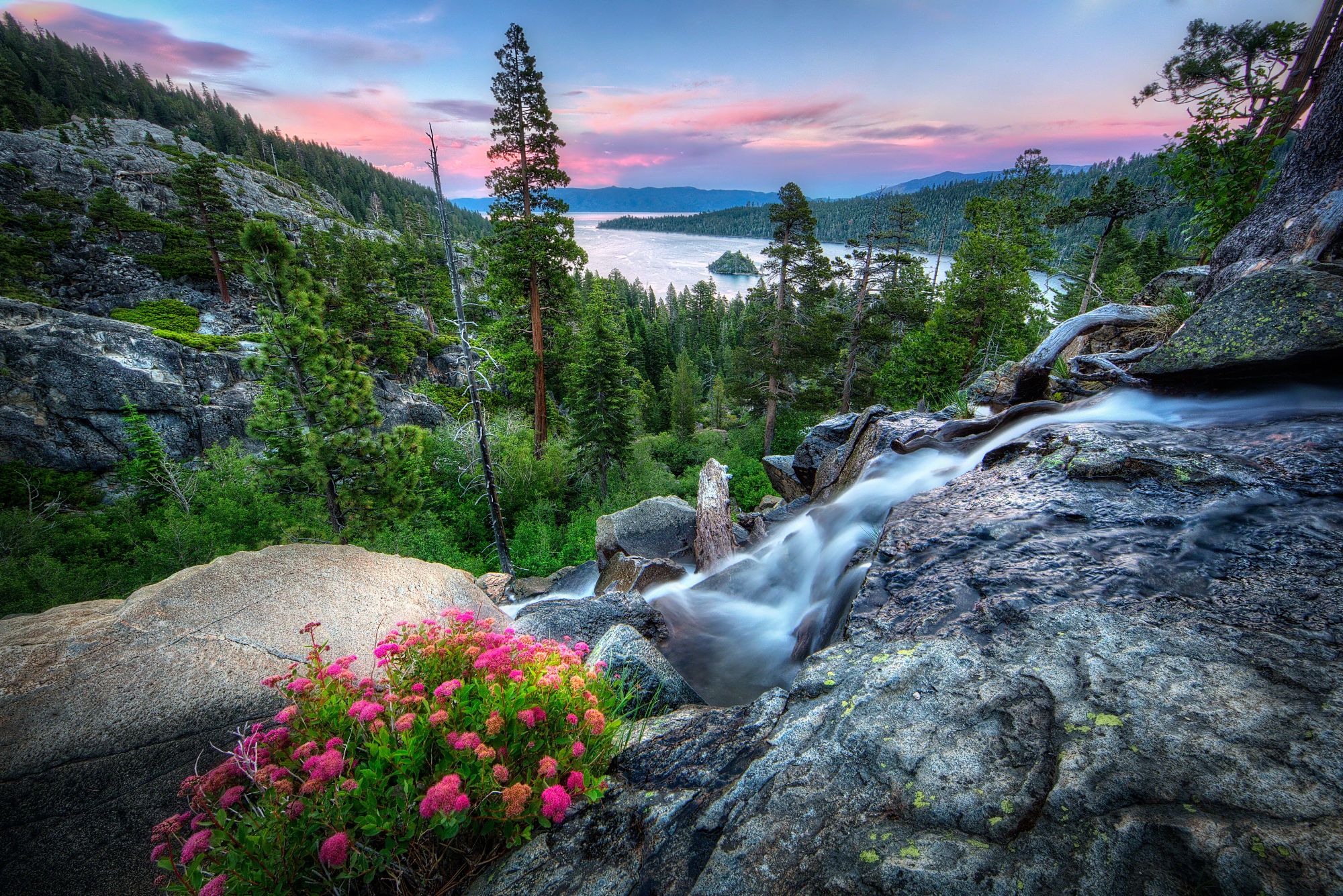 Photo Gallery & Video