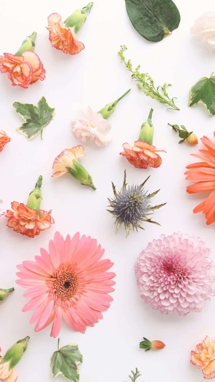 Download Real Flowers Pattern Cute Floral Wallpaper