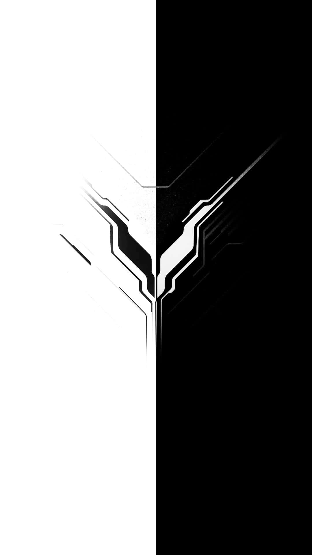 Half Black Half White Creative Art Wallpaper