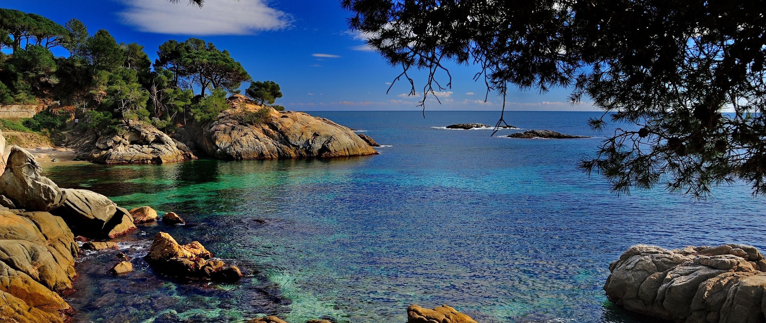Download wallpaper 2560x1080 costa brava, catalonia, spain, mediterranean sea, rocks, branches, coast dual wide 1080p HD background