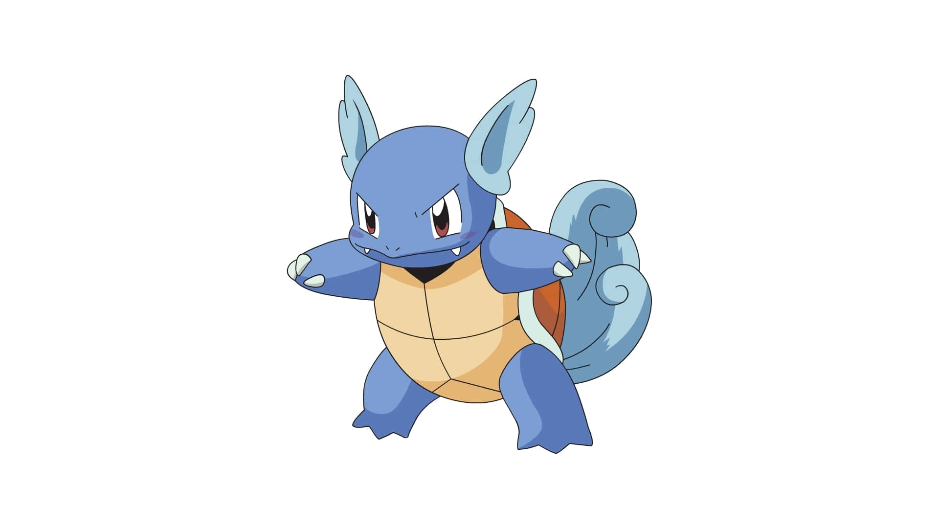 Download Wartortle In Battle Mode Wallpaper