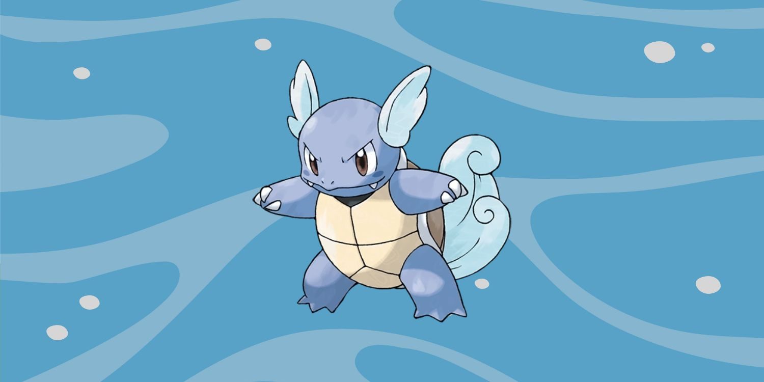 Wild Facts About Wartortle. Pokémon Fact Site