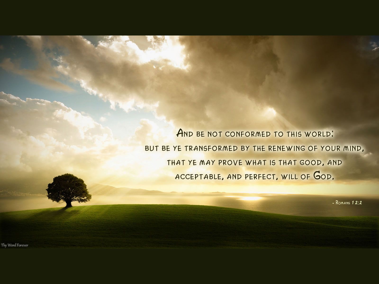 Romans 12:2. Victory in Jesus