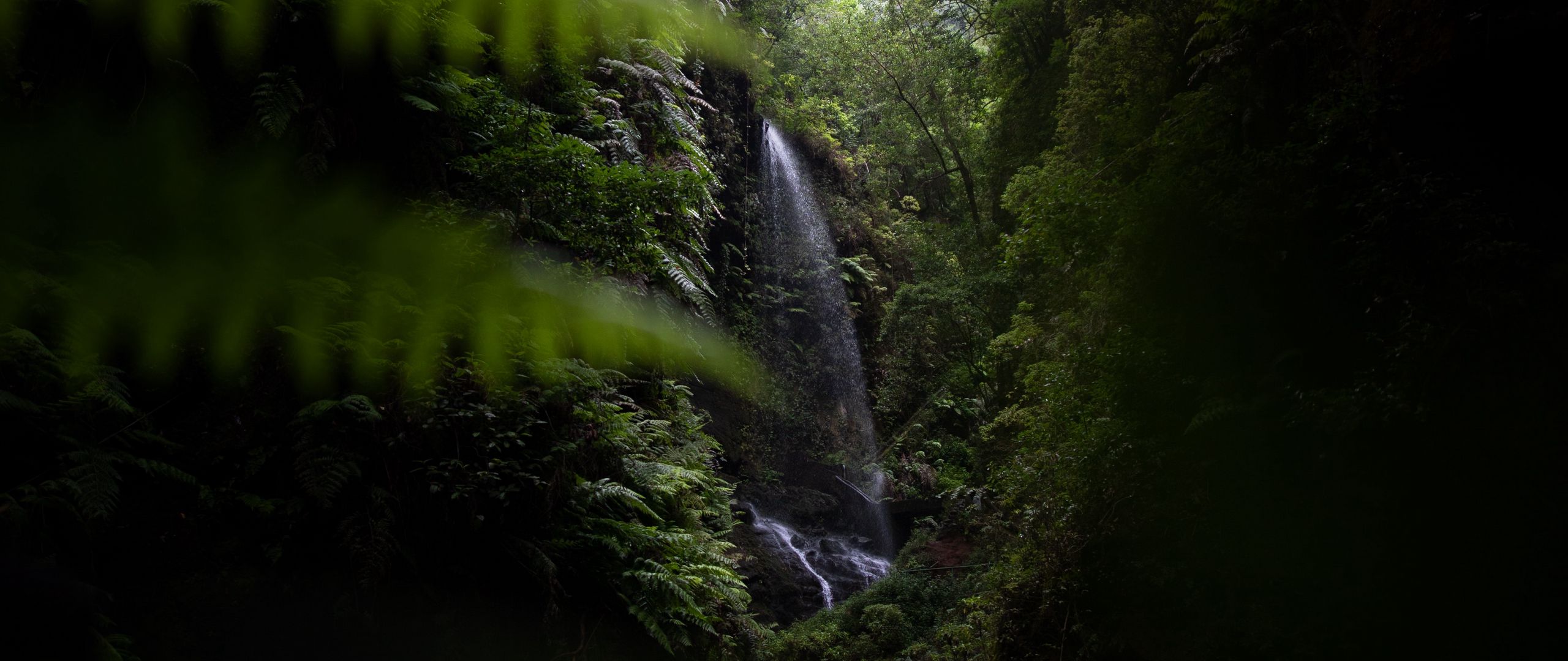 Download wallpaper 2560x1080 waterfall, jungle, dark, vegetation, nature dual wide 1080p HD background