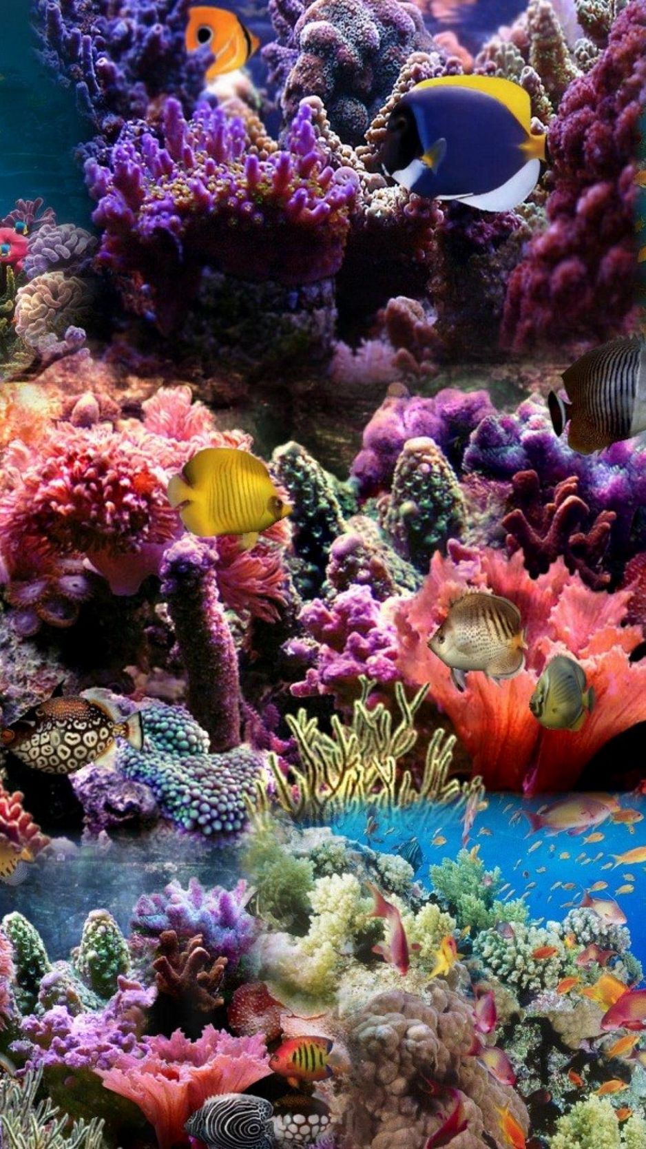 Download Wallpaper 938x1668 Reef, Coral, Fish Iphone 8 7 6s 6 For Parallax HD Background