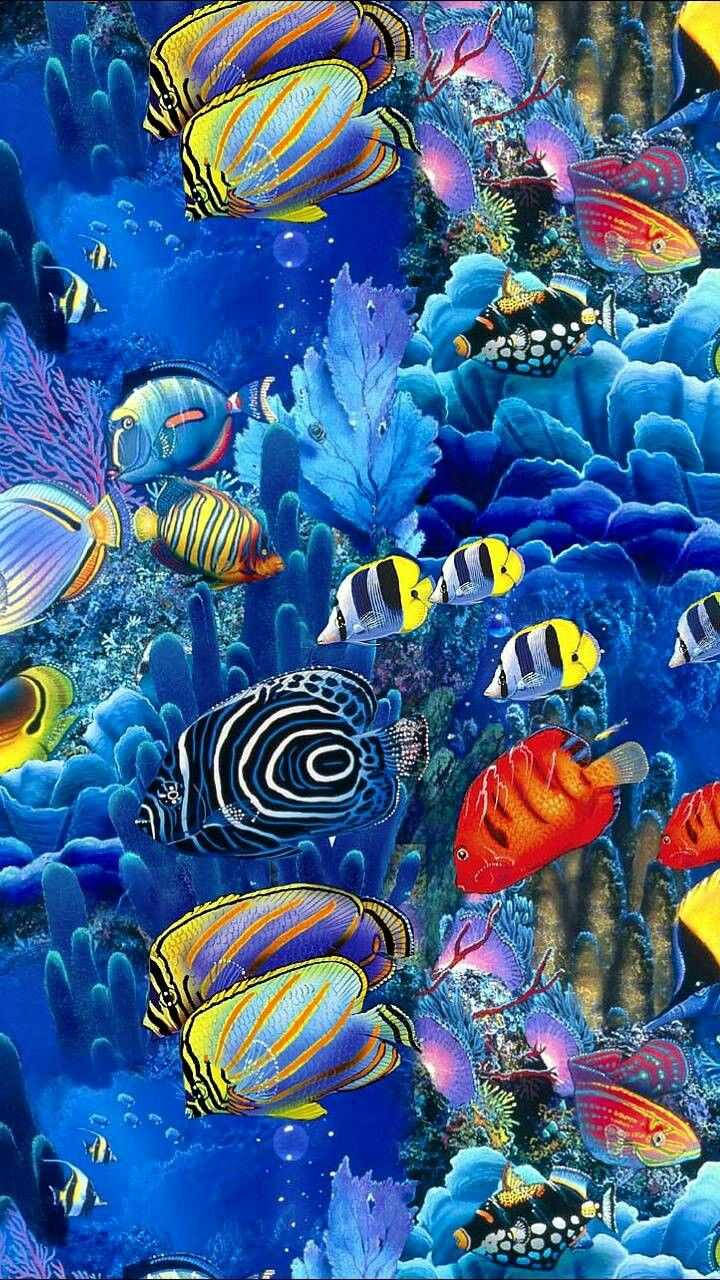 Colorful Fish Swimming iPhone Wallpaper