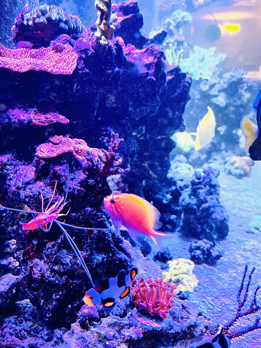 INSPIRED BY photo!!!