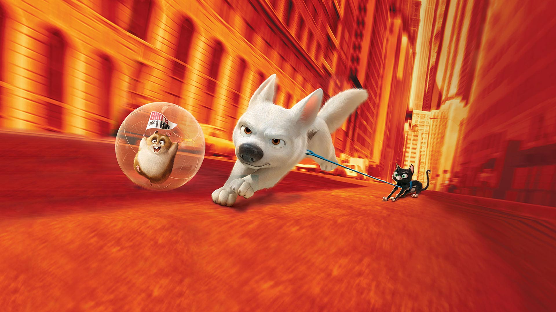 Bolt on Disney+ Algeria. French Canadian (Canada) English Arabic (Classical Egyptian) Korean Spanish (Latin America) Turkish Czech Mandarin Mandarin (Taiwan) Portuguese (European) Romanian Greek Icelandic Cantonese Hungarian Polish Danish Norwegian Slovak