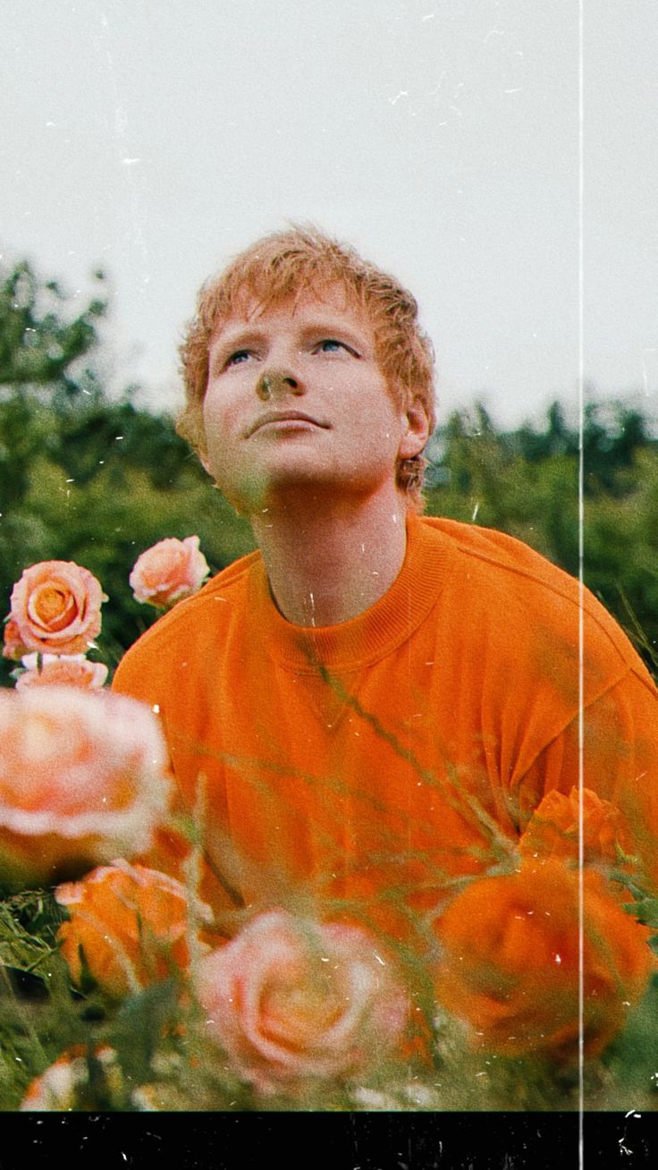 Ed Sheeran wallpaper