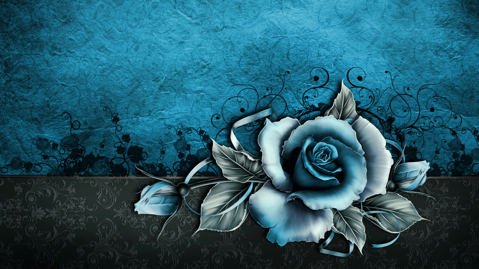 White Rose With Blue Background Full HD S Window Managers