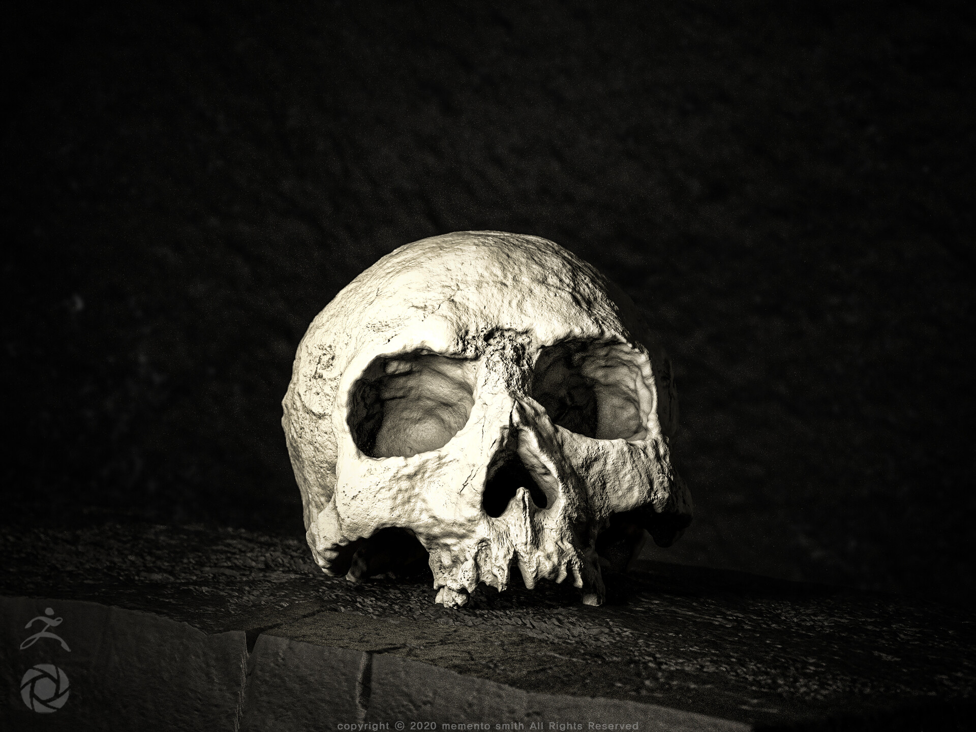Ancient Skull