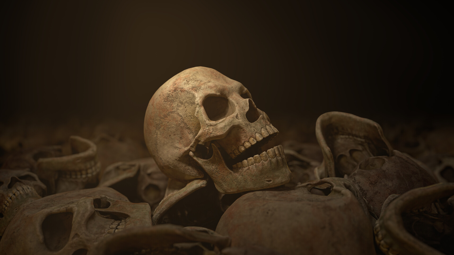 Ancient Skull