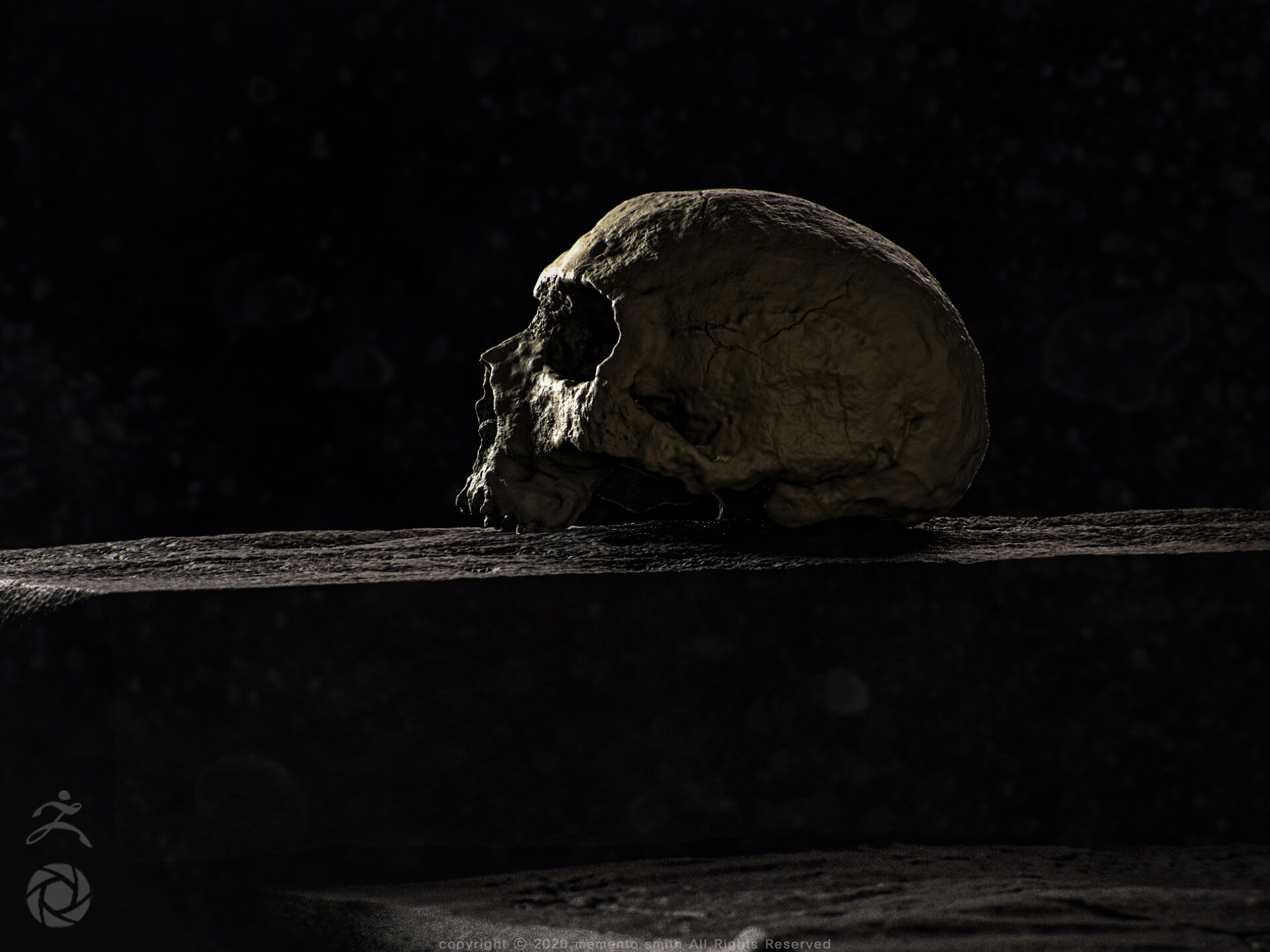 Ancient Skull