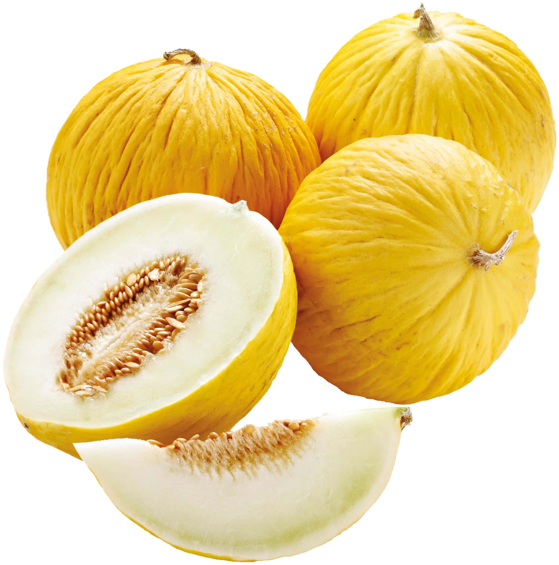 Casaba Melon Wallpaper