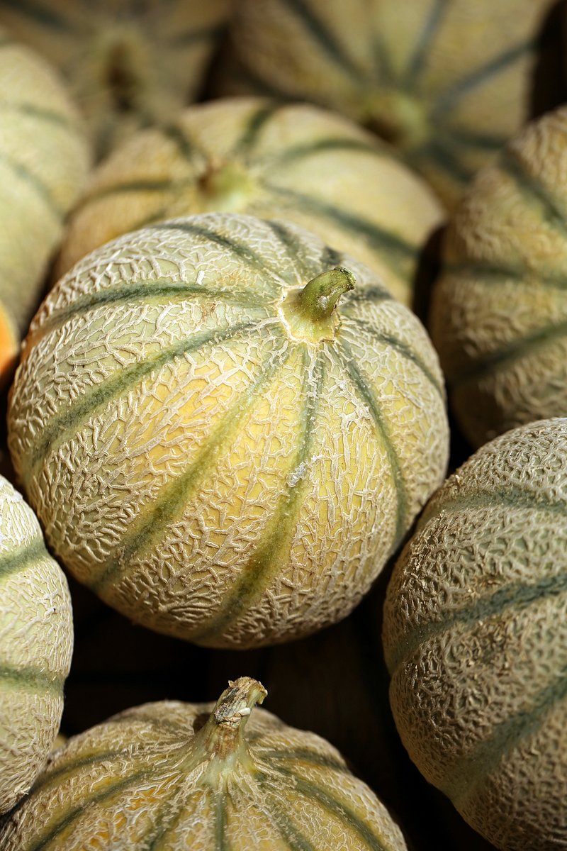Charentais Melon Image Wallpaper