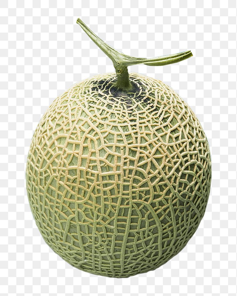 Muskmelon Plant Image Wallpaper
