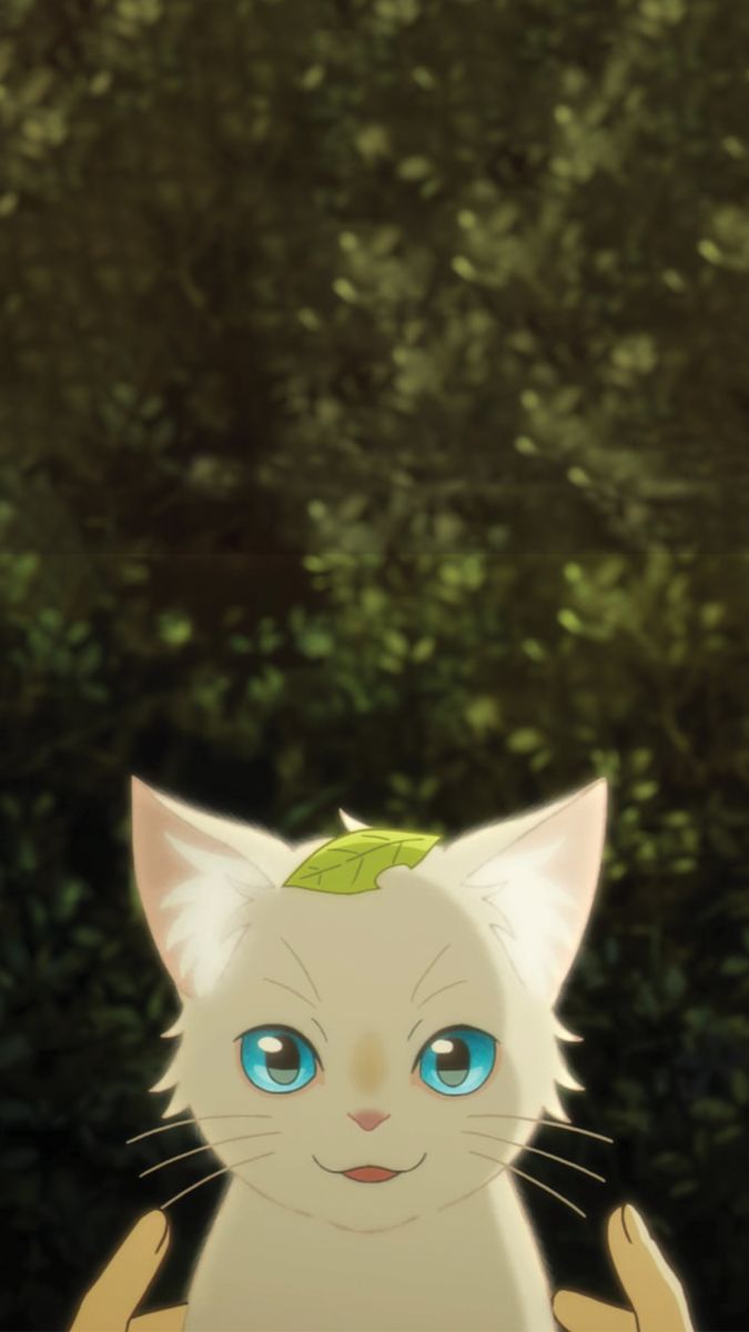 Cat anime wallpaper