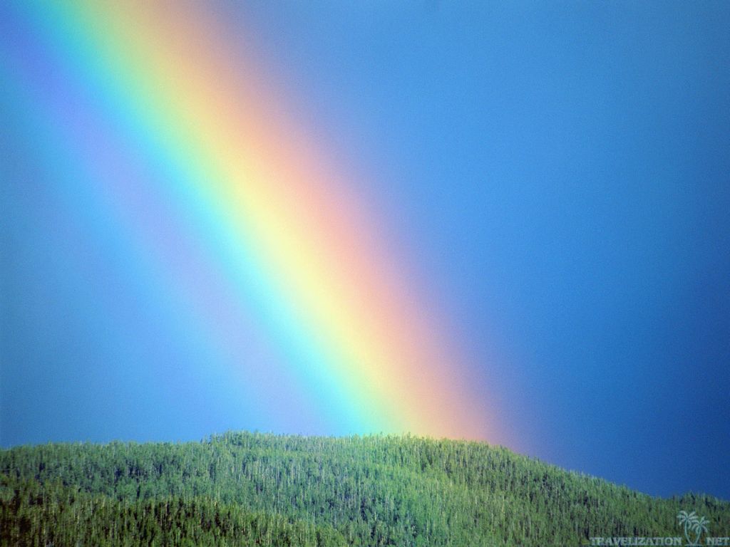 Real Rainbow Wallpaper 1024x768