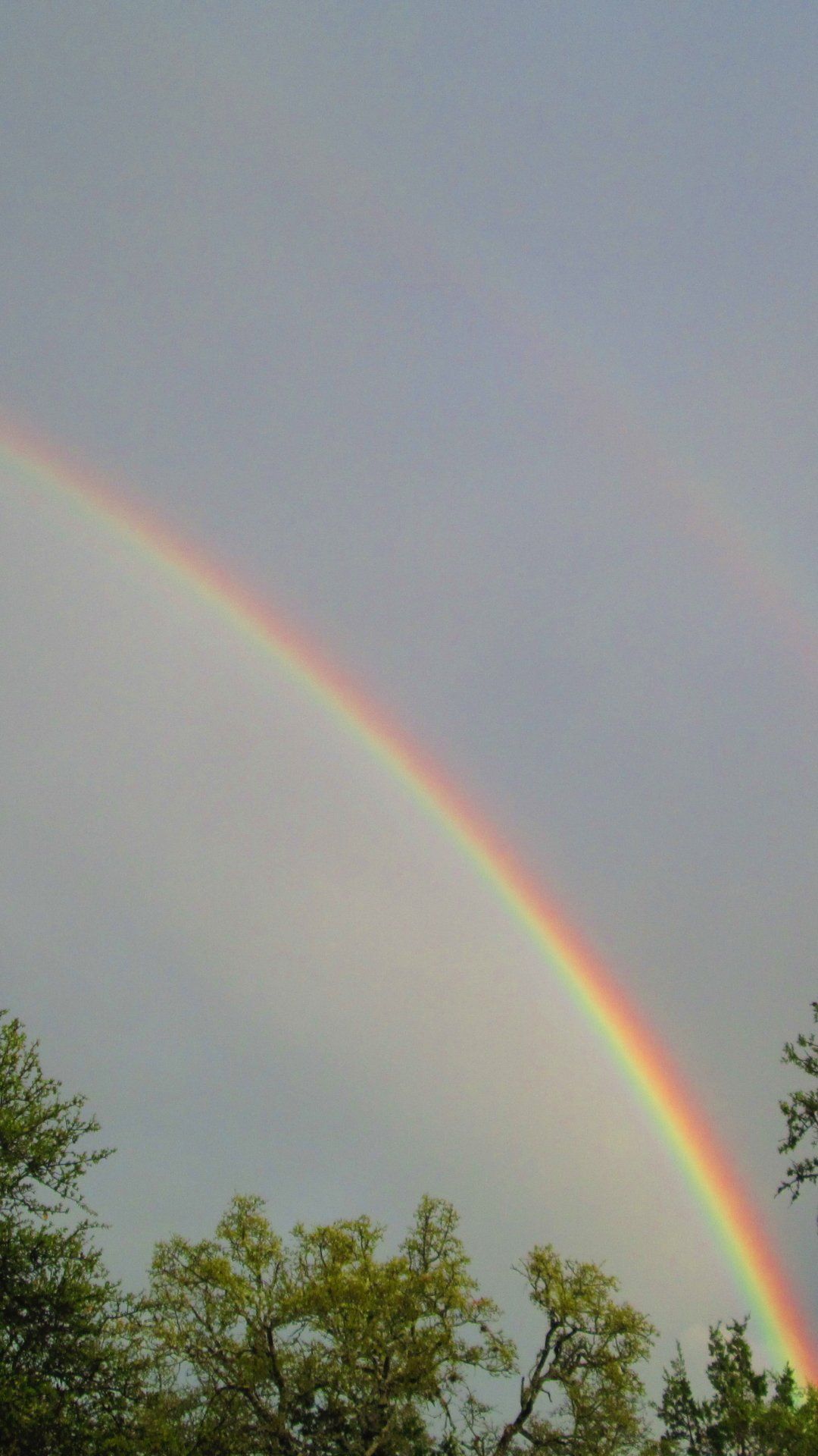 Rainbow Wallpaper Rainbow Background Download