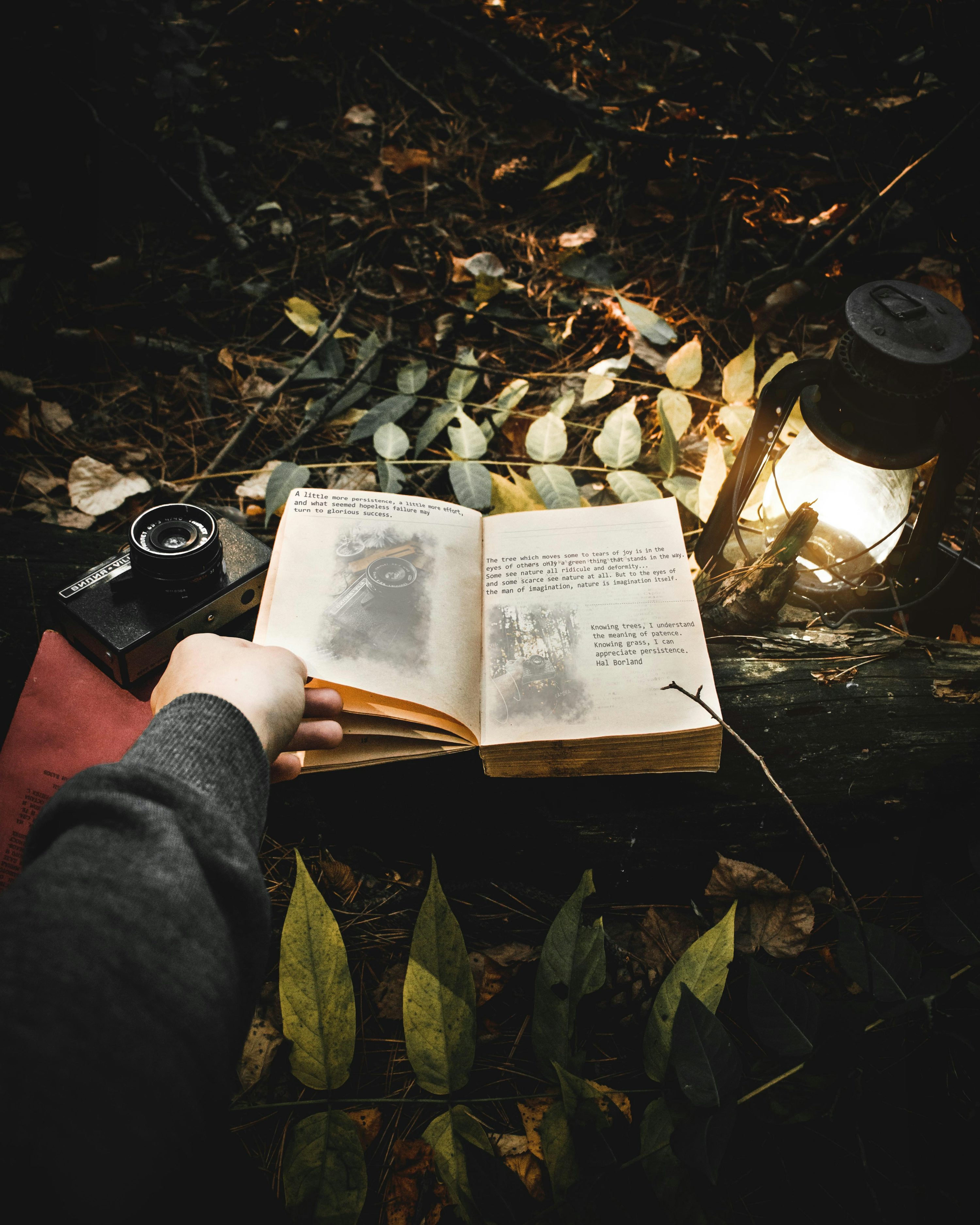 Man Reading Book Picture [HD]. Download Free Image