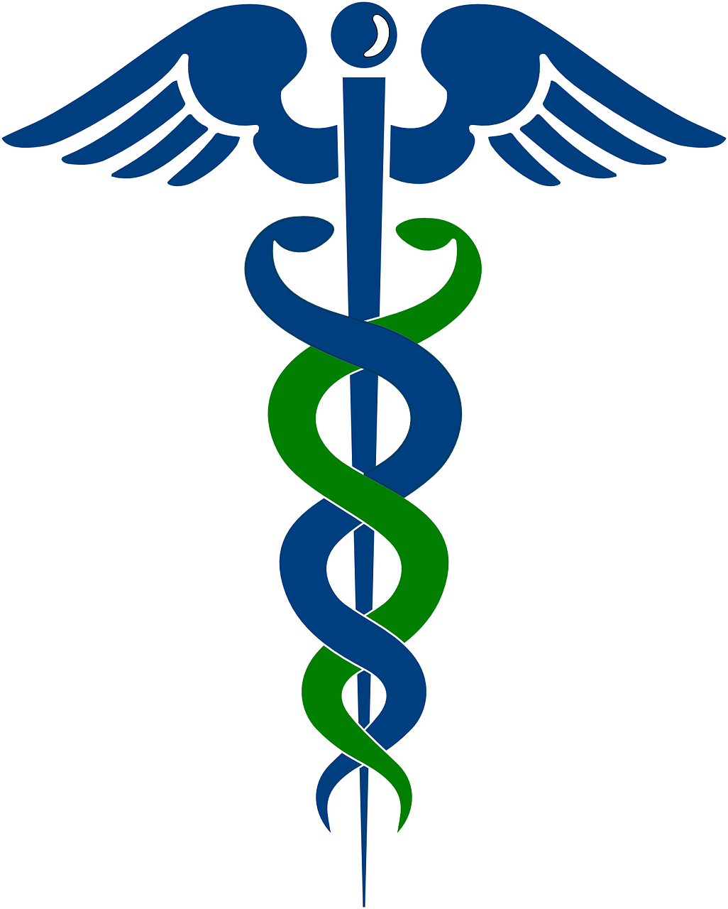 Download Rod Of Asclepius Doctor Pharmacy. Royalty Free Vector Graphic