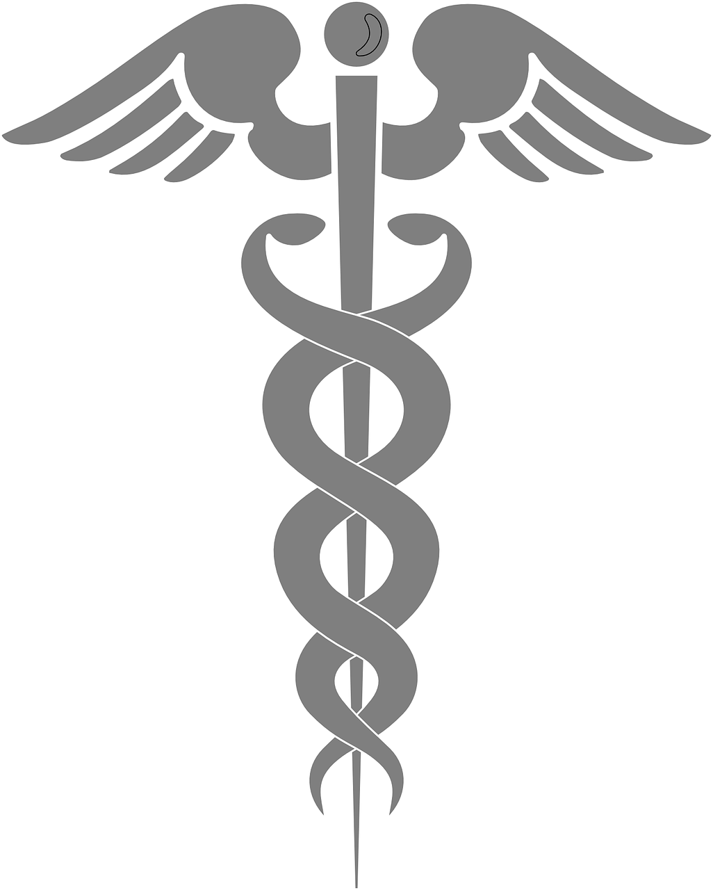 Download Aesulapian Staff Rod Of Asclepius Wings. Royalty Free Vector Graphic