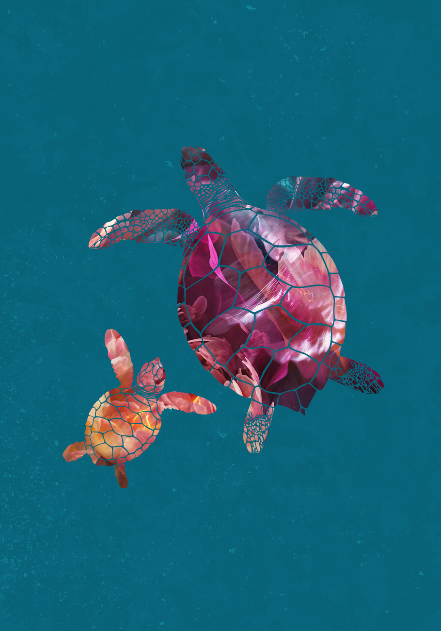 Art Print Colourful Turtles