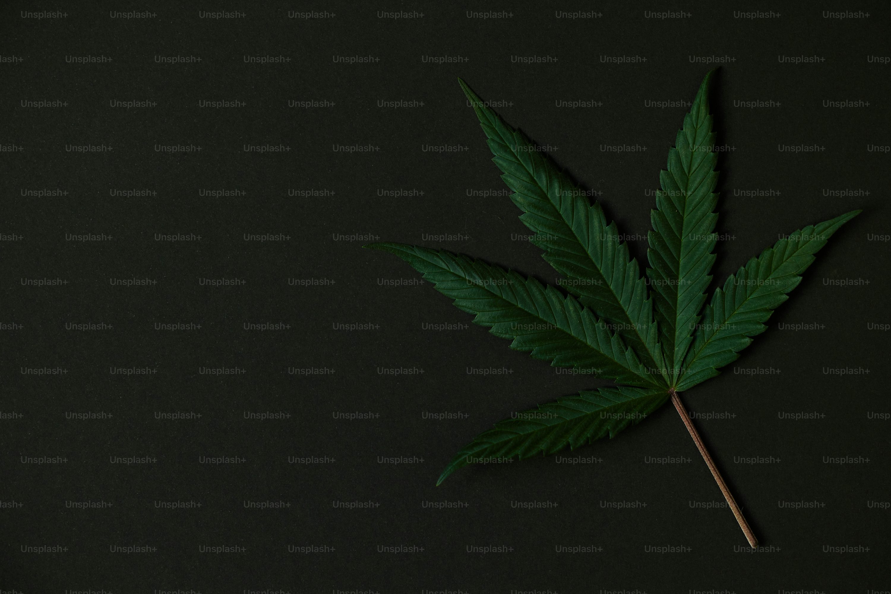 Weed Background Image: Free Image