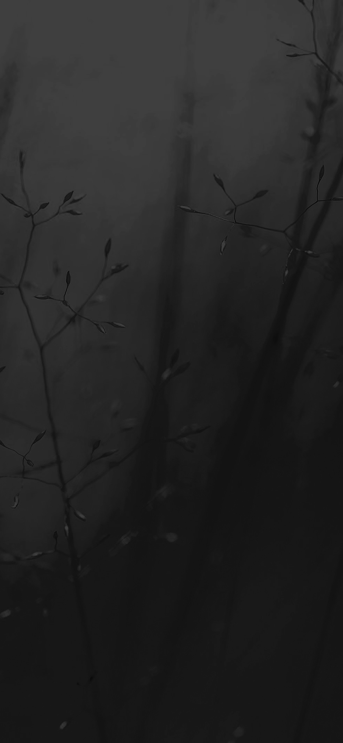 iPhone wallpaper. lg g3 weed dark flower nature