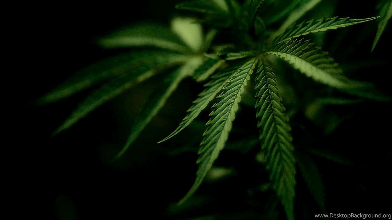 Weed Desktop HD Wallpaper, Weed Background, New Wallpaper Desktop Background